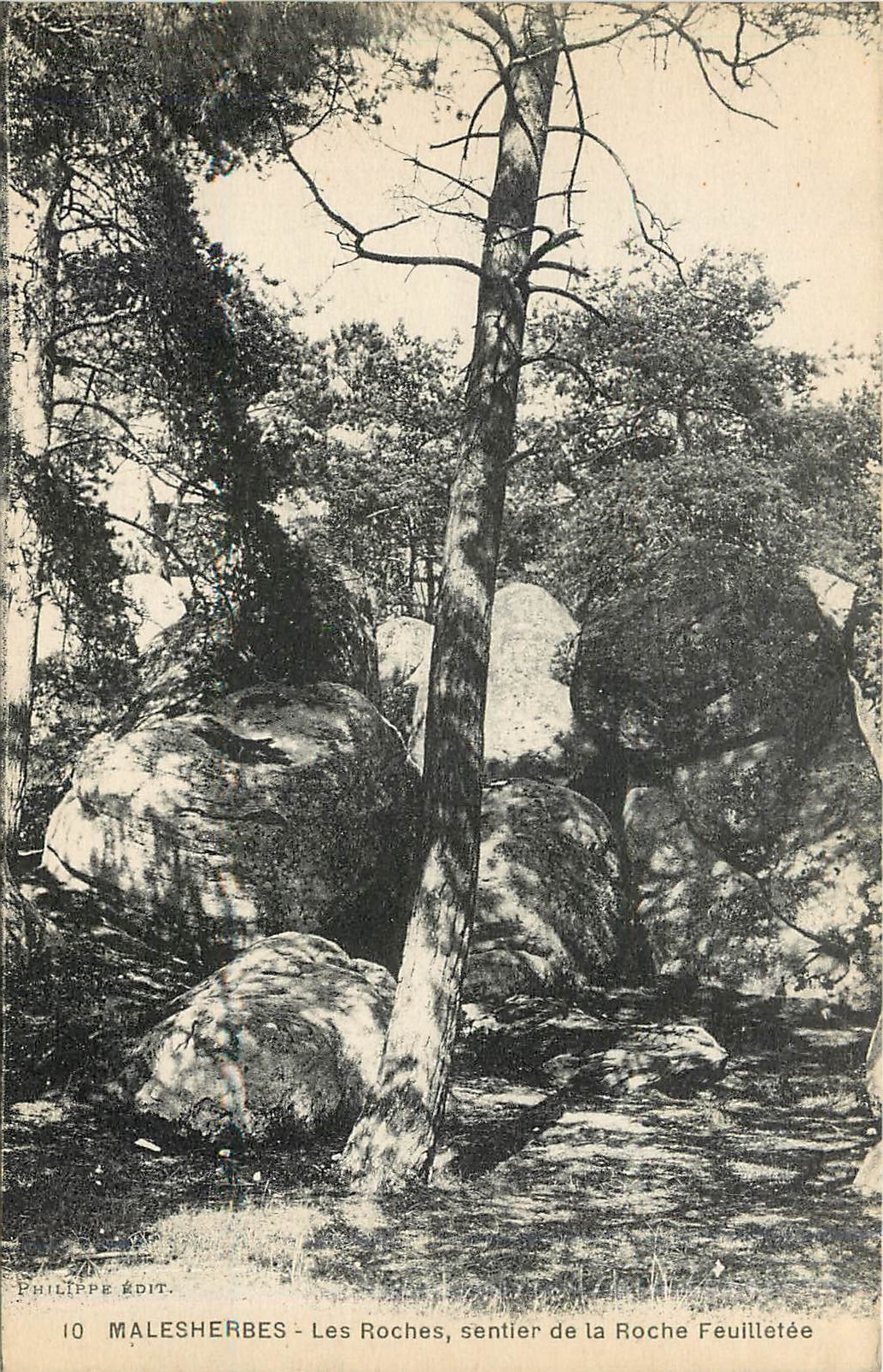 CPA Malesherbes Les Roches sentier de la Roche Feuilletee 