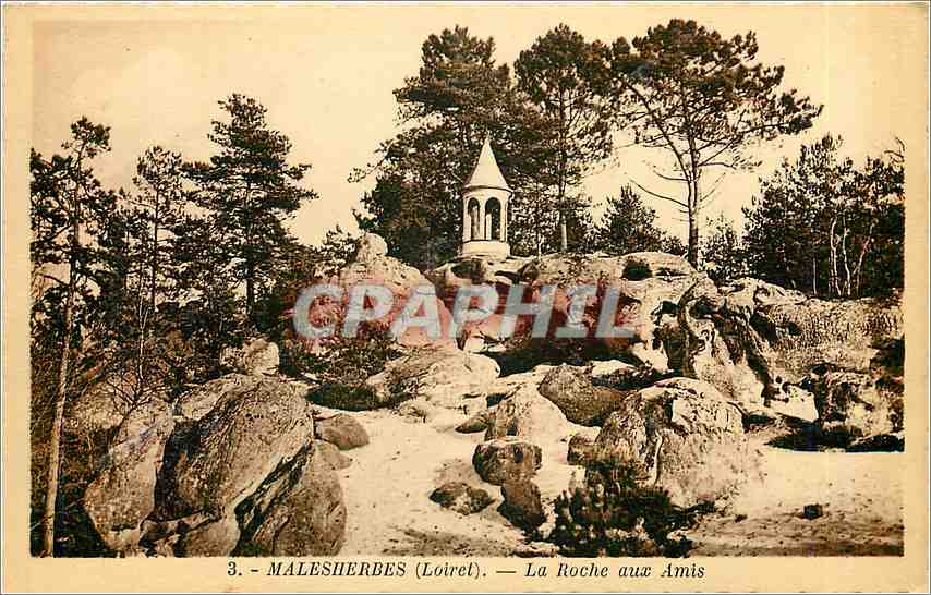 CPA Malesherbes Loiret La Roche aux Amis 