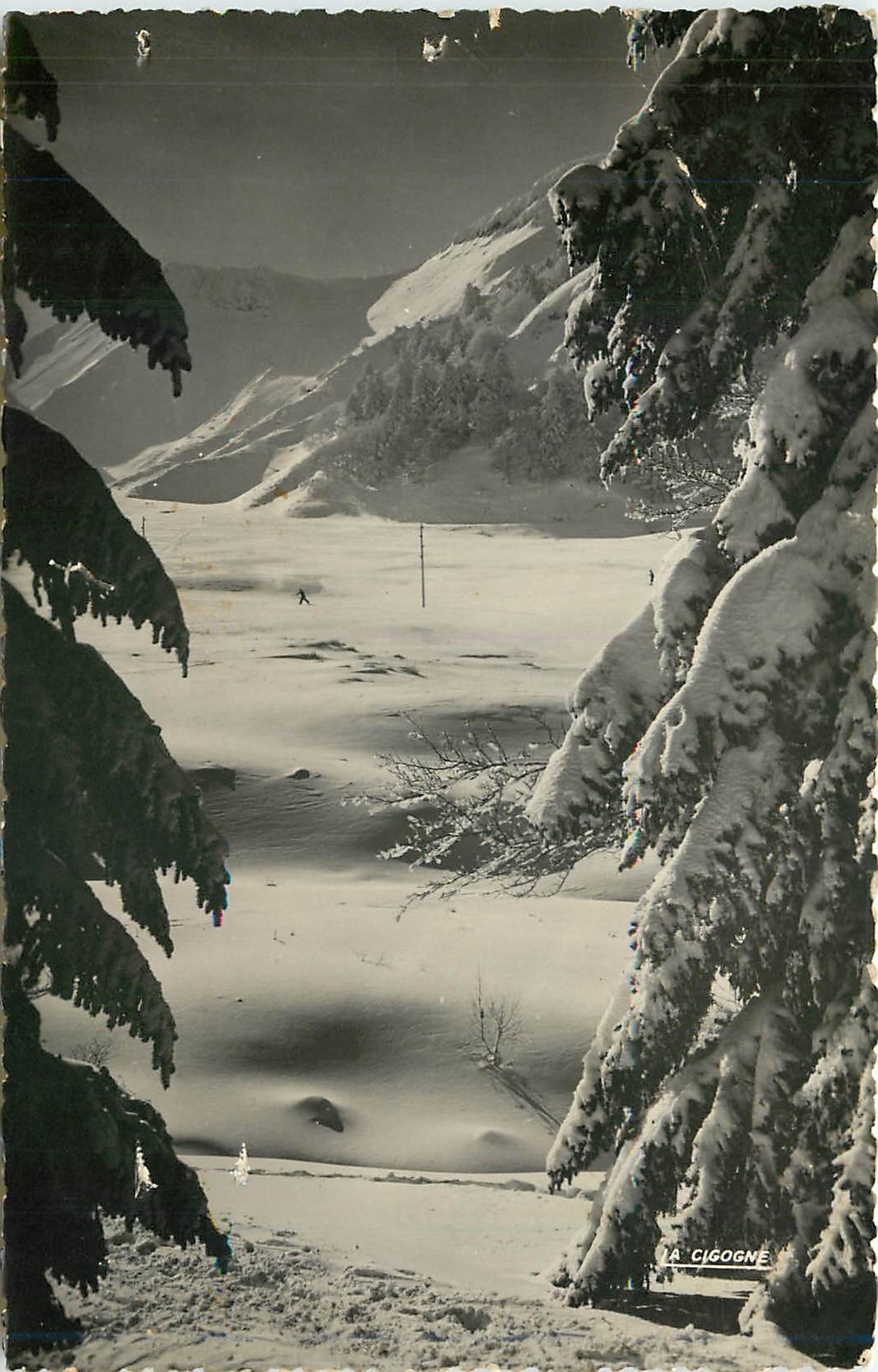 Paysage de neige au Sancy — Le Mont Dore (P.-de-D.) — Édit. « La Cigogne »