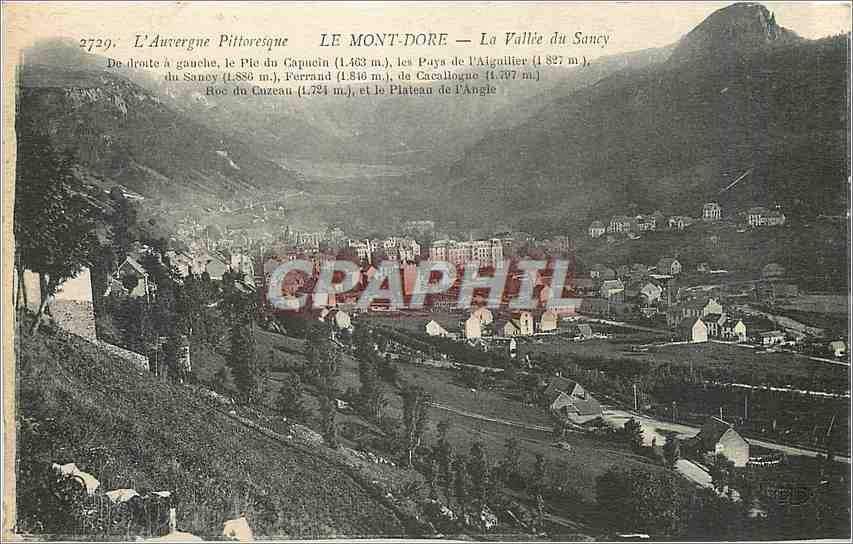 CPA L'Auvergne Pittoresque Le Mont Dore La Vallee du Sancy 