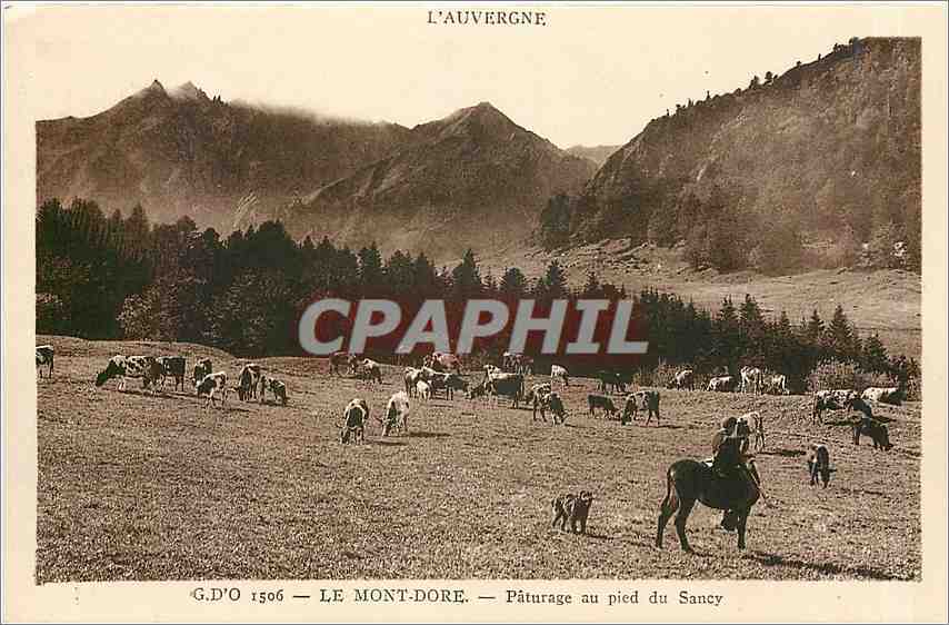 Le Mont-Dore — Pâturage au pied du Sancy — G.D'O 1506