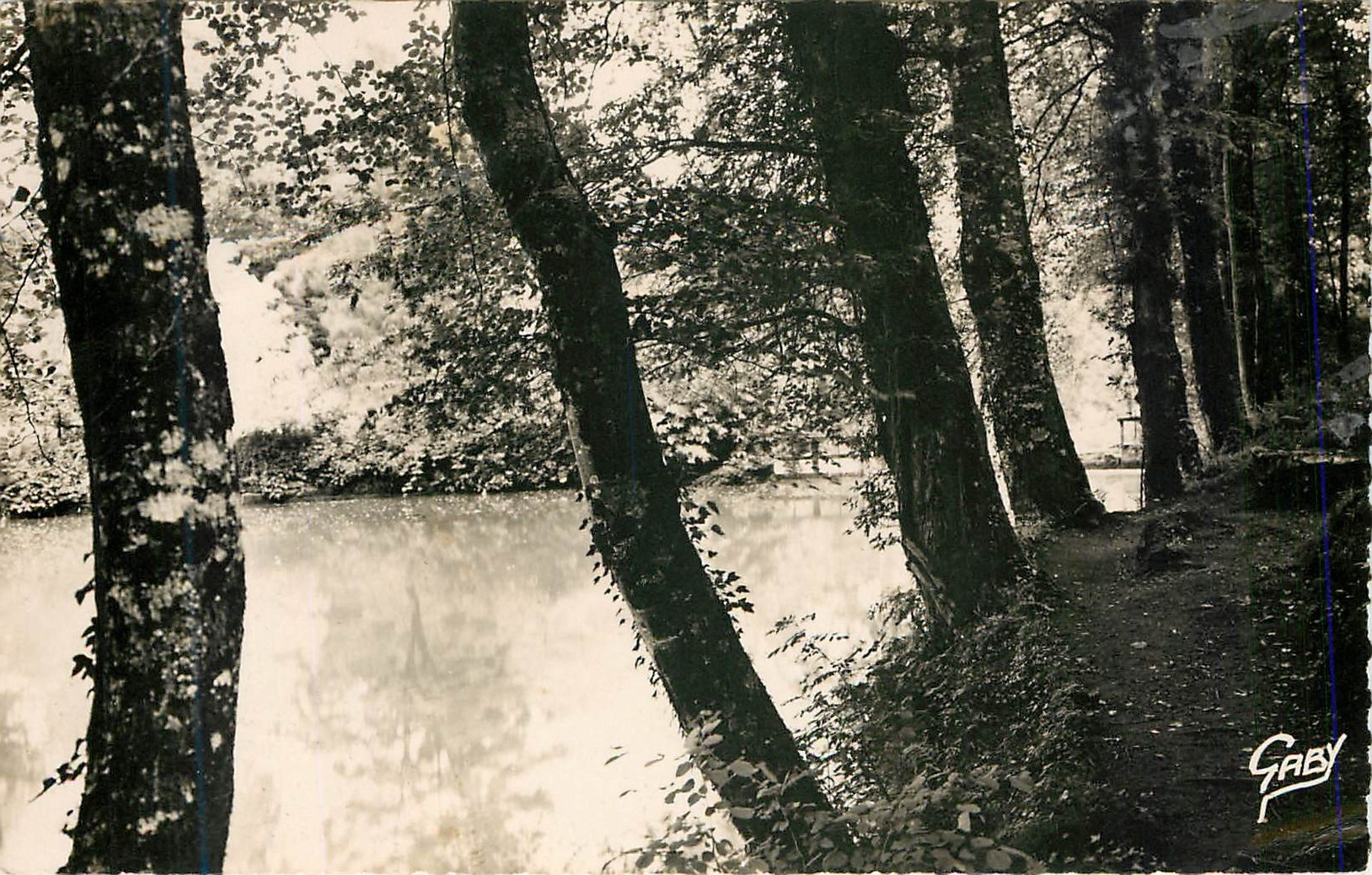 CPA Tinchebray Orne Rochefort Le Bosquet des Ombrages 
