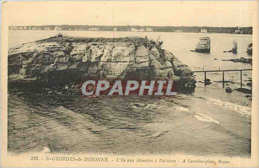 CPA St Georges de Didonne L'lle aux Mouettes a Vallieres 