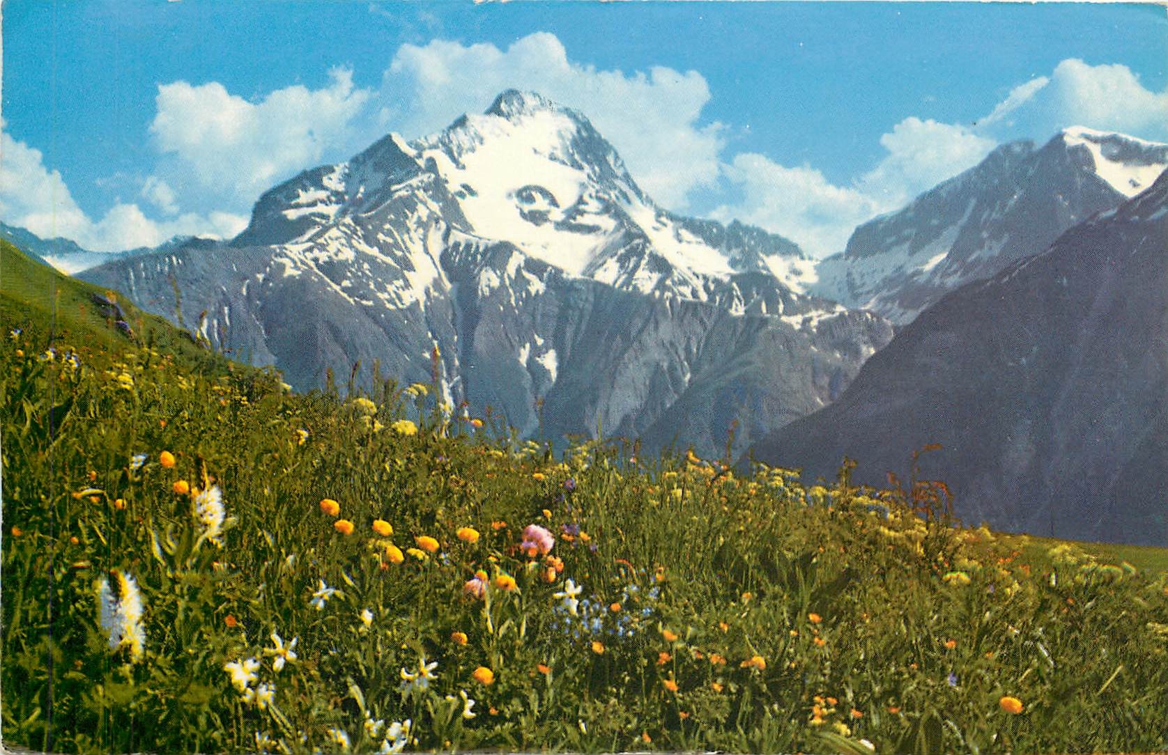 CPM Les Alpes en couleurs naturelies printemps en heute montagne 