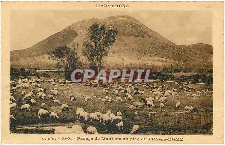 CPA L'Auvergne pacage de Moutons au pied du puy de Dome  — Verso