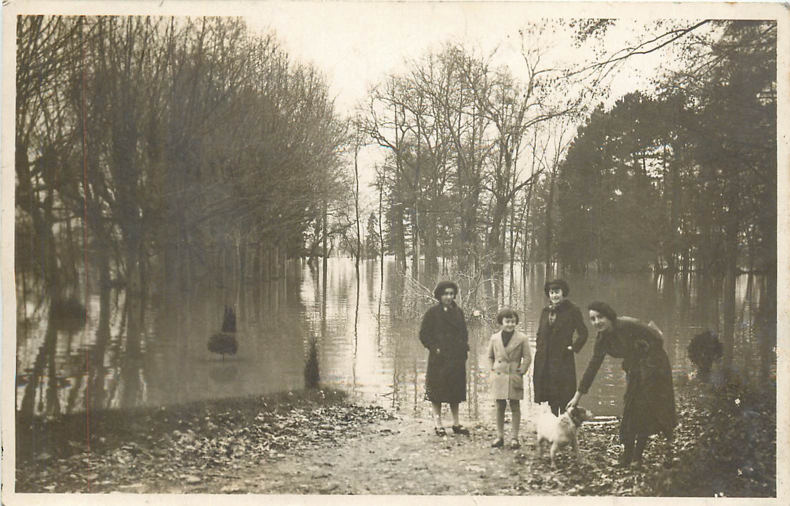 CARTE PHOTO Personnages Chien
