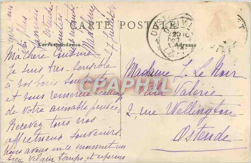CPA Environs d'Orleans Olivet Bords du Loiret un Pont Rustique  — Verso