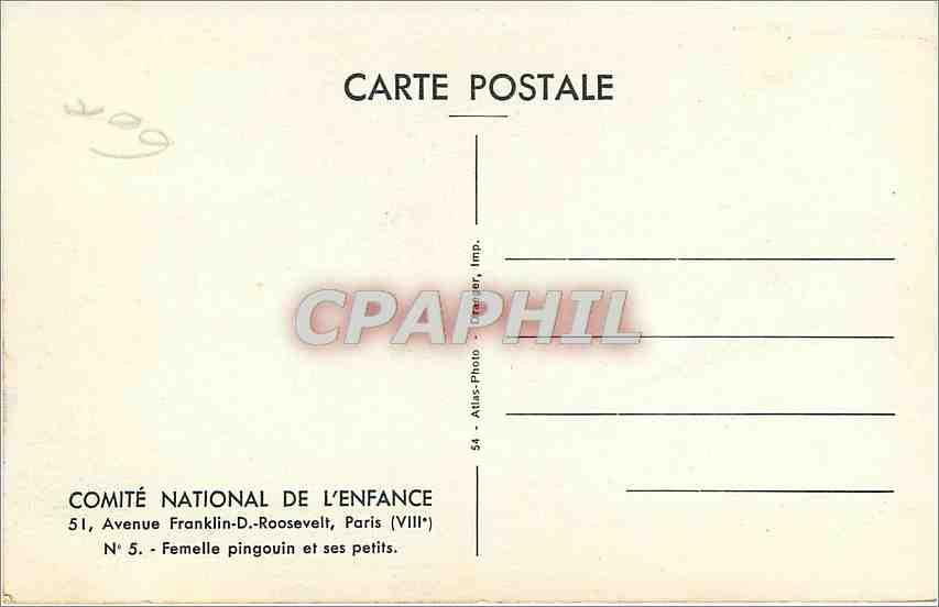 CPA Comite National de l'Enfance Avenue Franklin D Roosevelt Paris VIII Femelle Pingouin et ses peti — Rückseite
