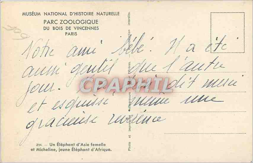 CPA Un Elephant d'Asie femelle et Micheline jeune Elephant d'Afrique  — Rückseite