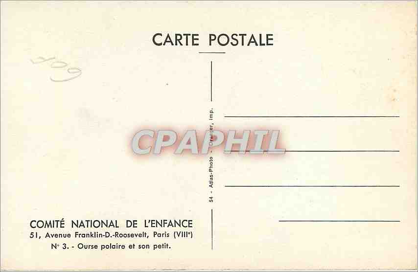 CPA Ourse Polaire et son petit Comite National de l'Enfance Avenue Franklin D Roosevelt Paris VIII  — Rückseite