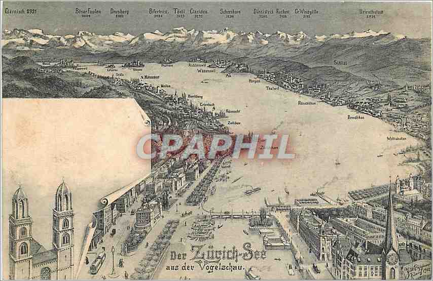 CPA Der Zurich See aus der ogelschau 
