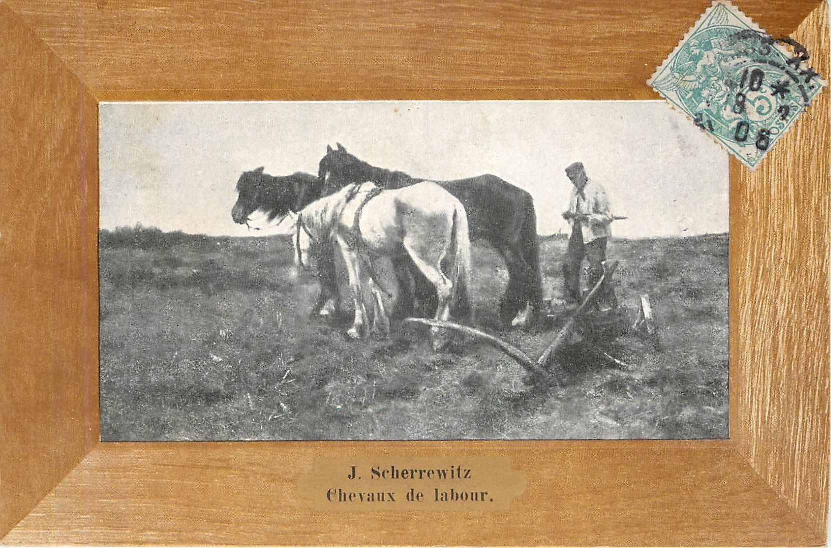 CPA J Scherrewitz chevaux de Labour 
