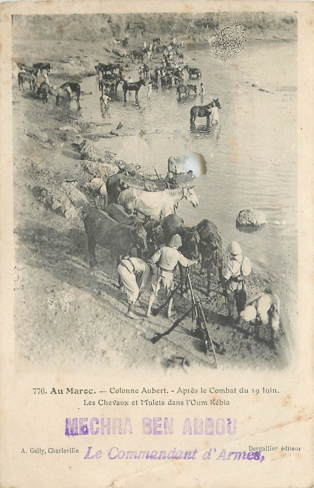 CPA Au Maroc Colonne Aubert apres le Combat du 19 Juin les chevaux et Mulets dans l'Oum Rebia