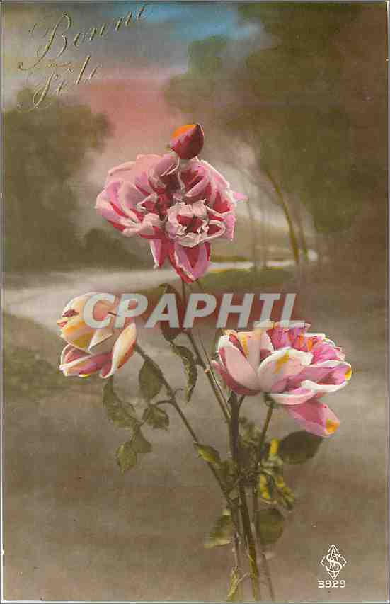 CPA Bonne Fete Fleurs