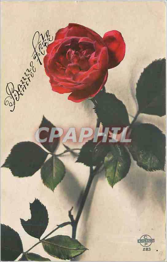 CPA Bonne fete Fleurs