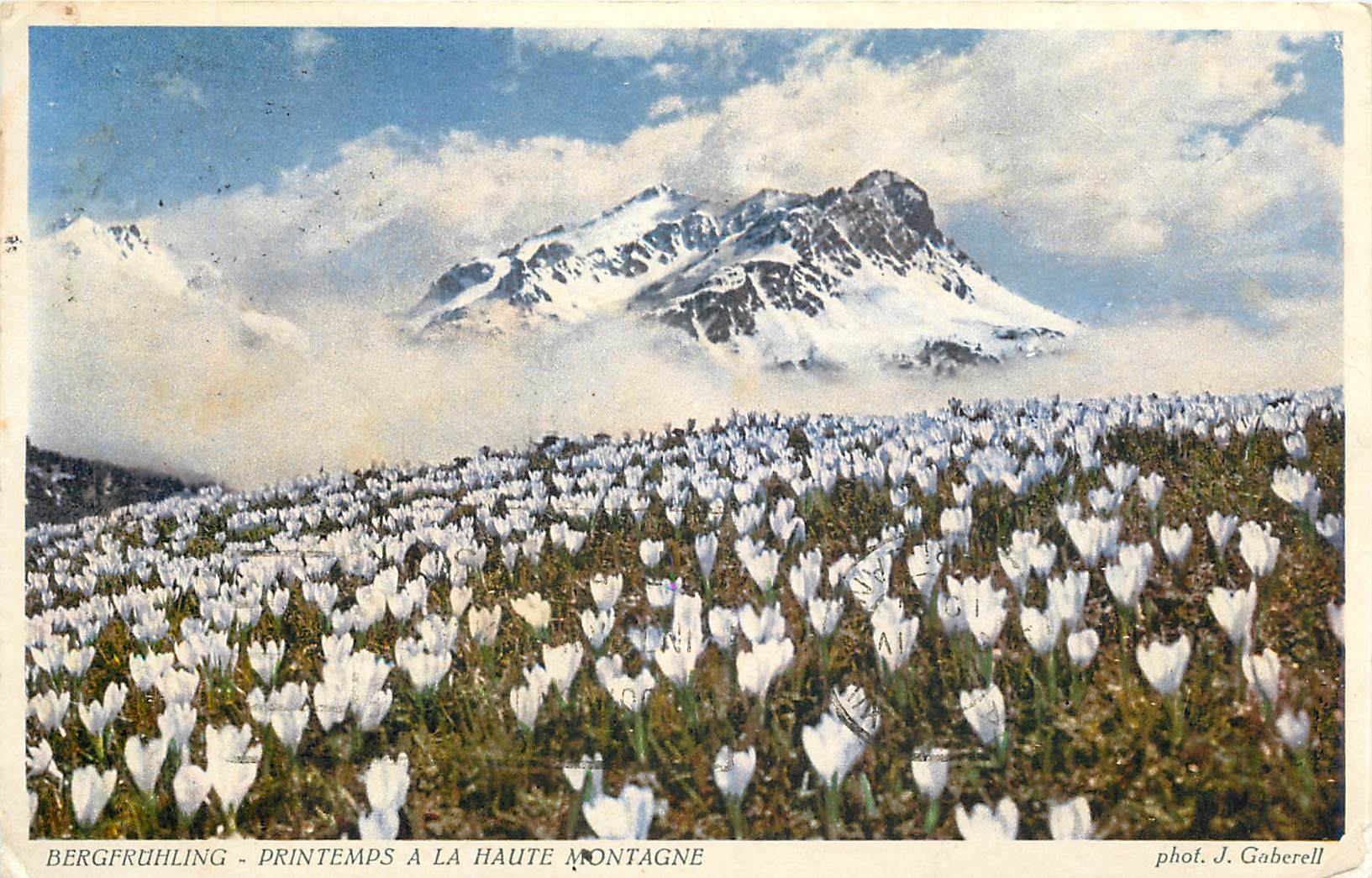 CPA Bergfruhling printemps a la haute montagne 