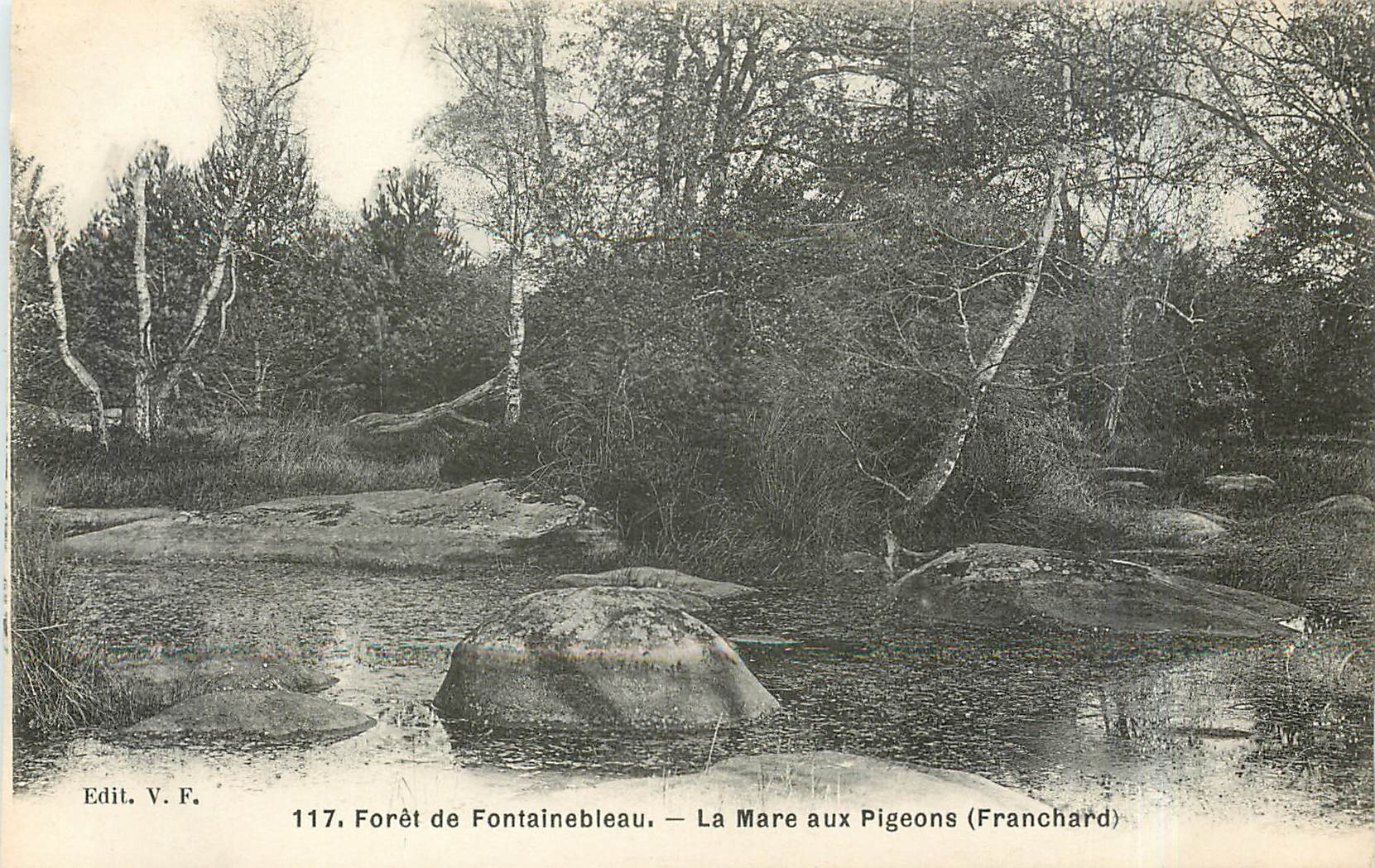 Forêt de Fontainebleau — La Mare aux Pigeons (Franchard) — Edit. V.F. n°117