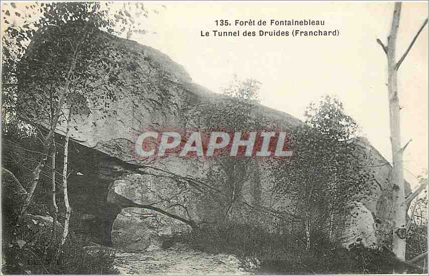Il Tunnel dei Druidi (Franchard) — Foresta di Fontainebleau — n°135