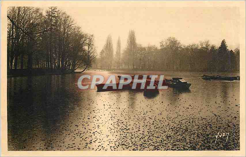 CPA Paris en flanant automne au Bois de Boulogne 