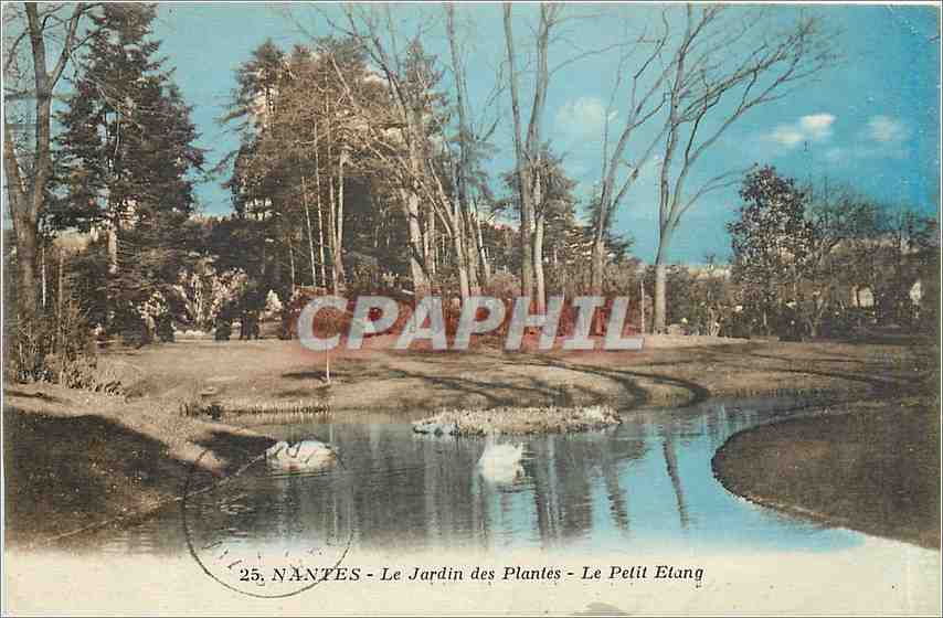 CPA Nantes Le Jardin des Plantes Le Petit Etang 