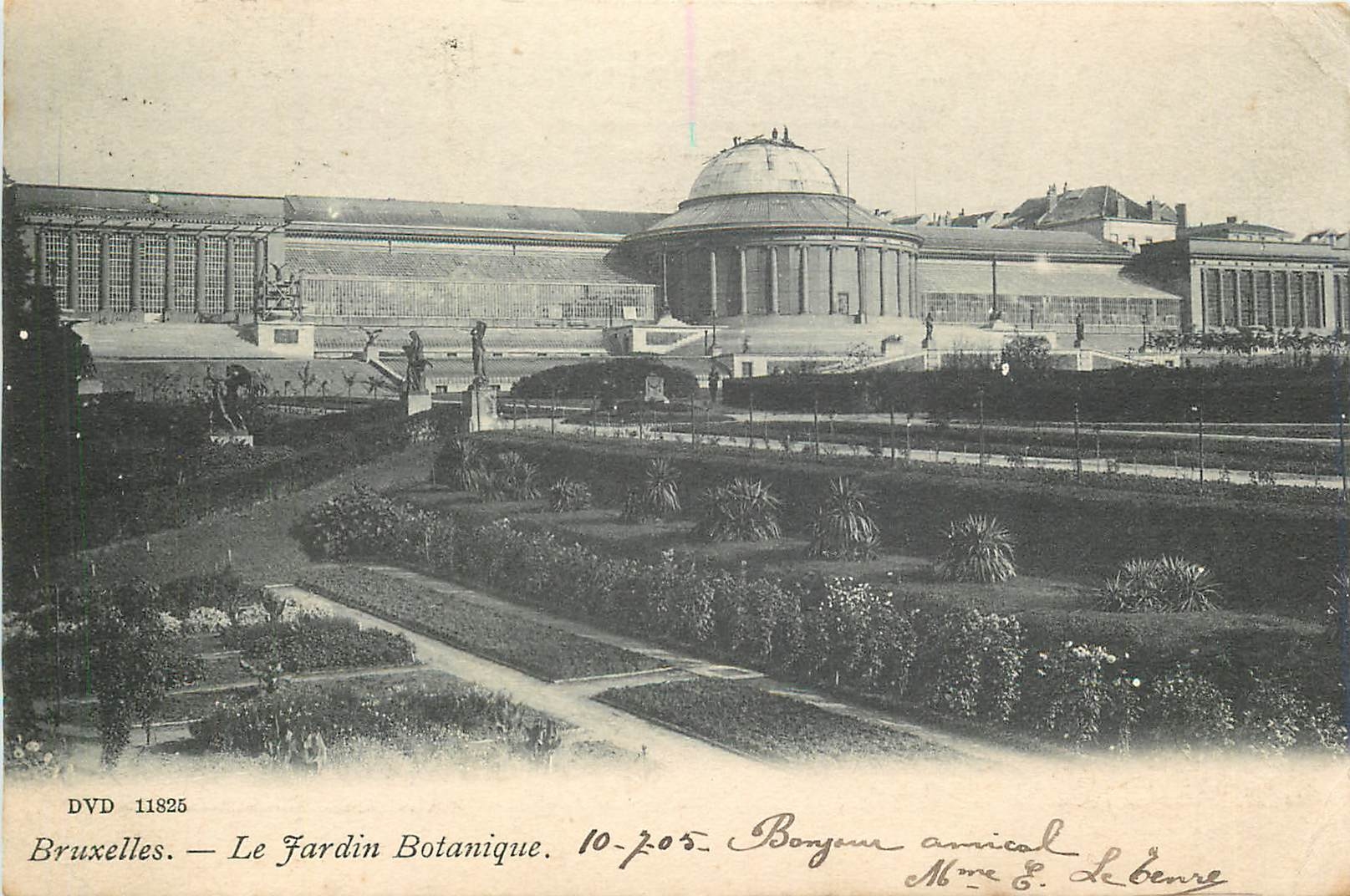 CPA Bruxelles le jardin botanique 