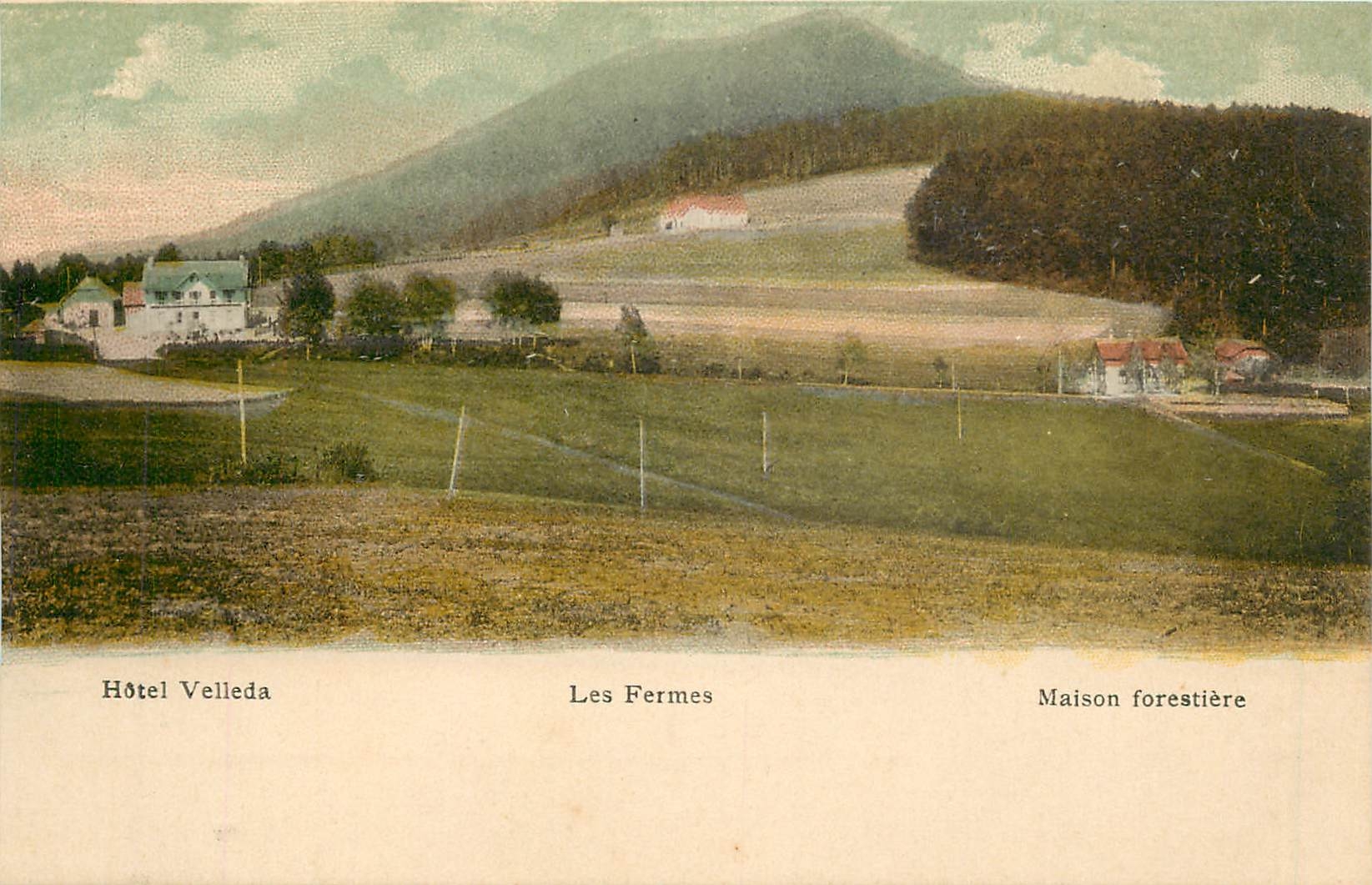 CPA Hotel Velleda Les Fermes Maison forestiere 