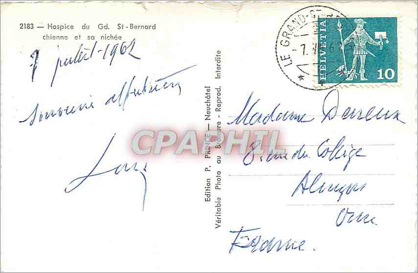 CPA Hospice du Gd St Bernard chienne et sa nichee  — Rückseite