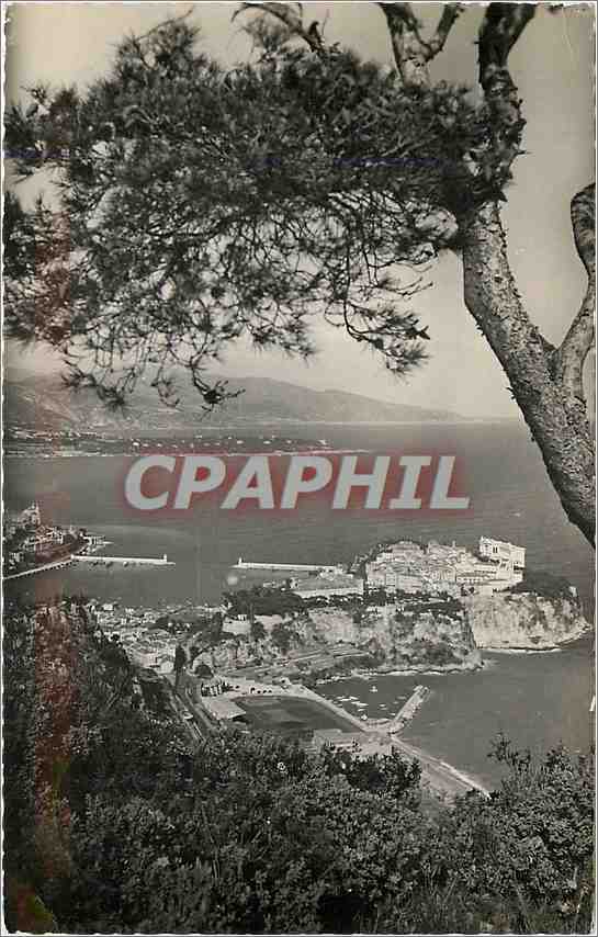 CPM La Cote d'Azur Monaco la principaute entre les pins 
