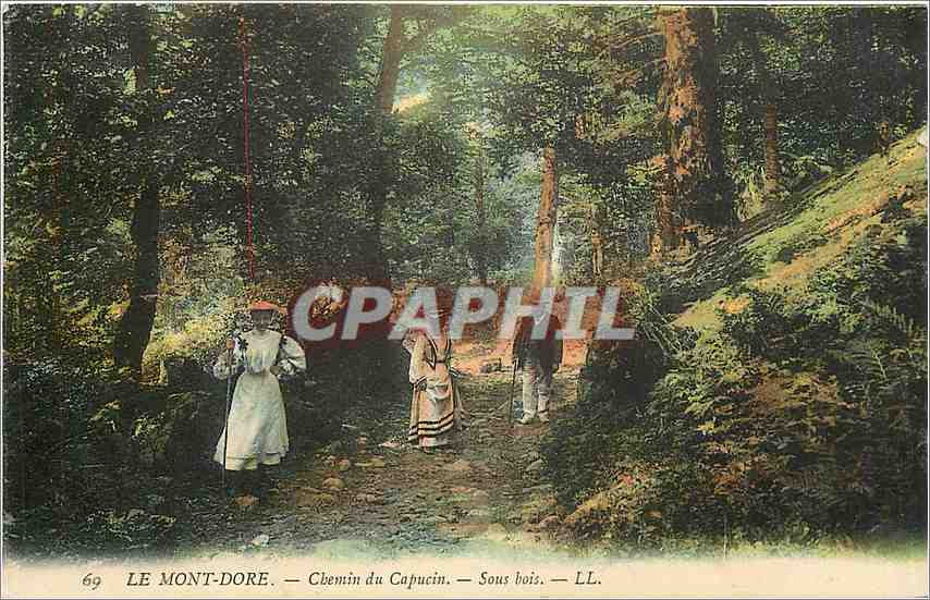 CPA Le Mont Dore Chemin du Capucin Sous bois 