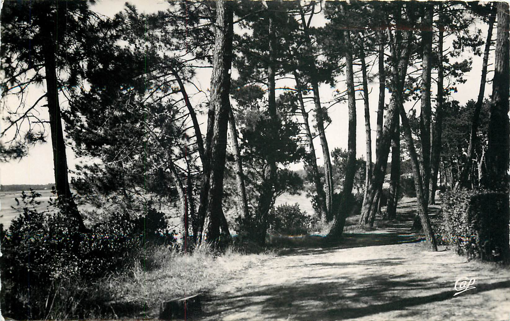 CPM Hossegor sous bois au bord du Lac 