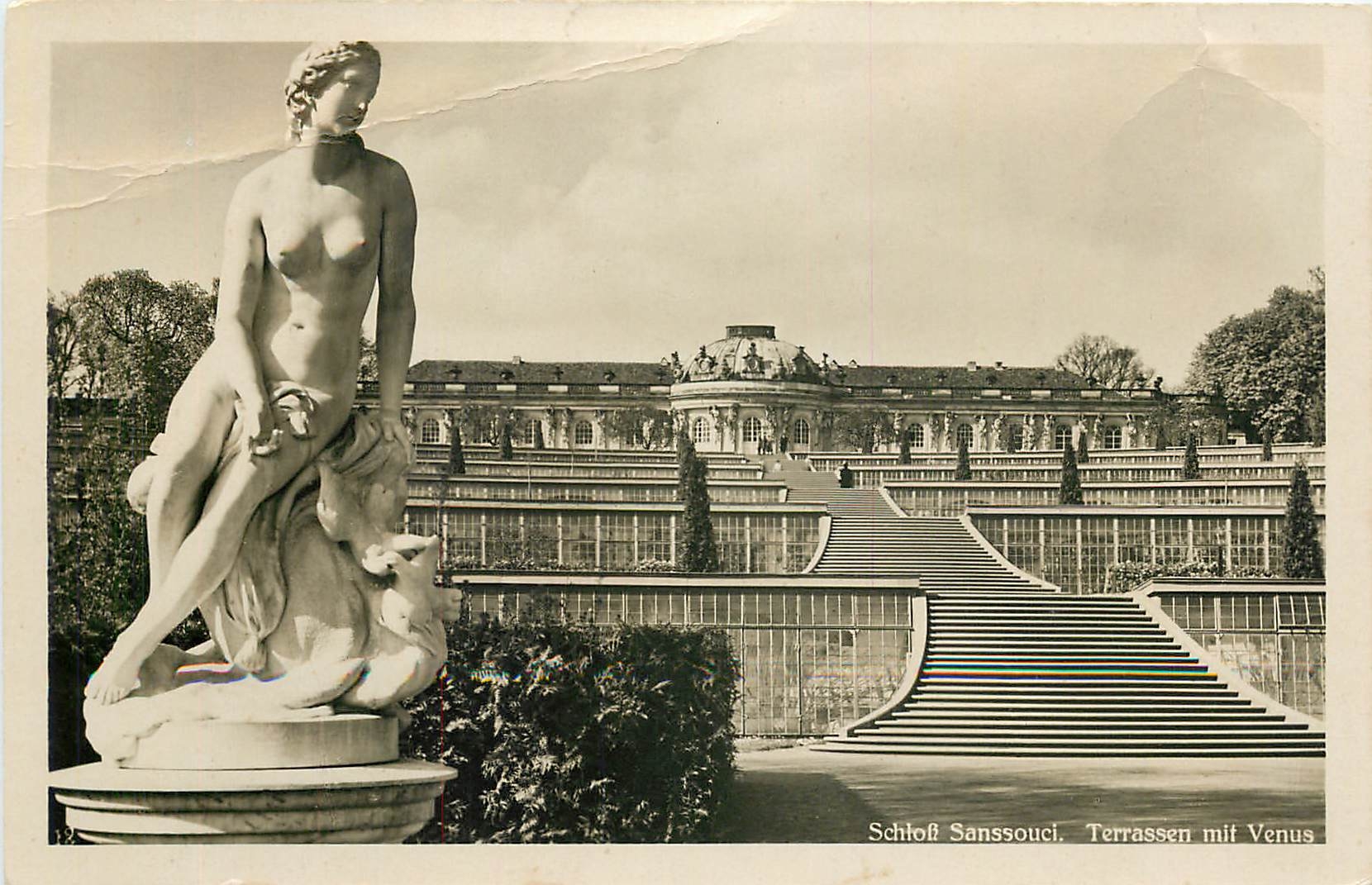 CPA Schloss Sanssouci Terrassen mit Venus 