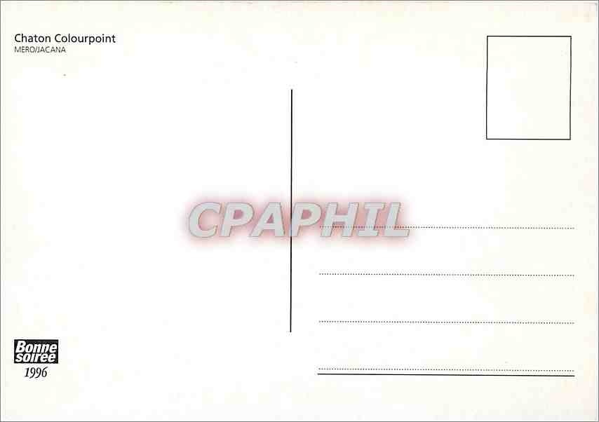 CPM Chaton Colourpoint  — Rückseite