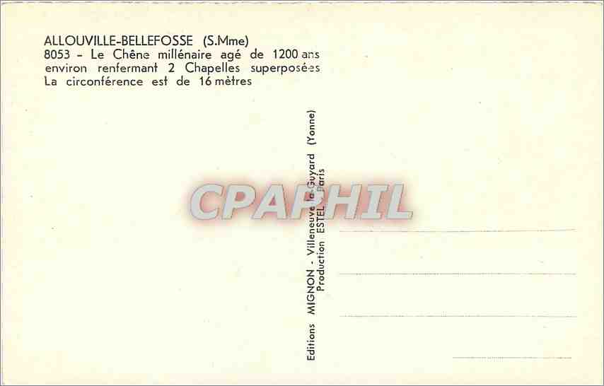 CPM Allouville Bellefosse S Mme le Chene millenaire age de 1200 ans environ renfermant 2 Chapelles s — Rückseite