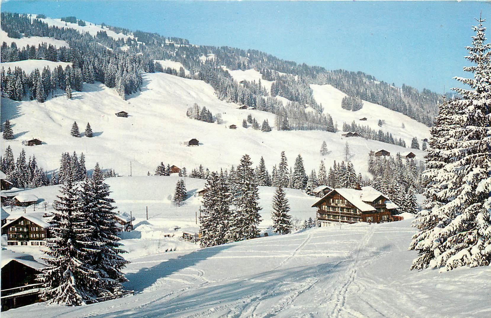 CPM Hotel Hornberg Saanenmoser 