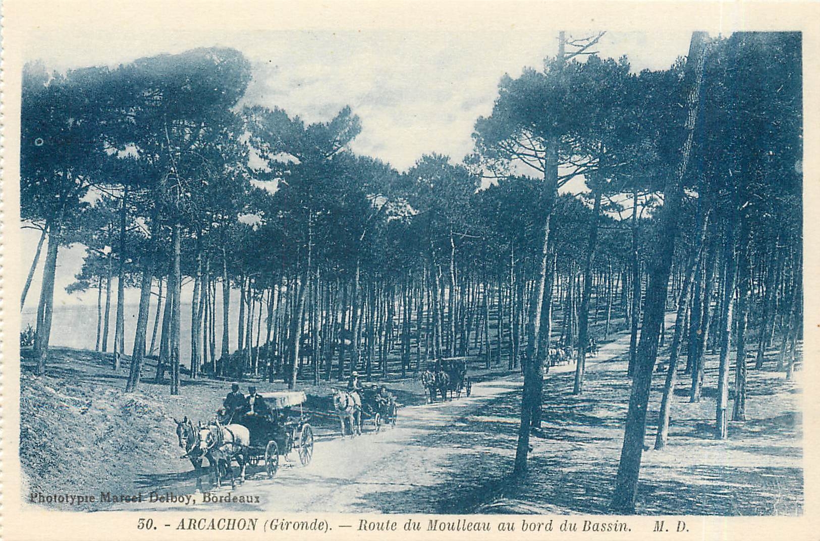 Arcachon (Gironde) — Route du Moulleau au bord du Bassin — Phototypie Marcel Delboy, Bordeaux, n°50