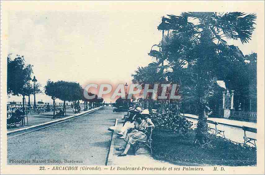 CPA Arcachon Gironde le boulevard promenade et ses palmiers 