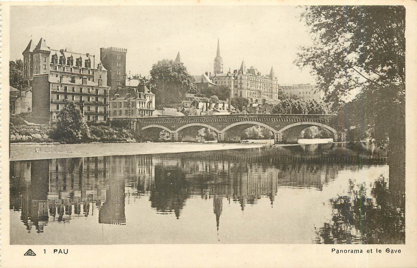 CPA Pau panorama et le Gave 