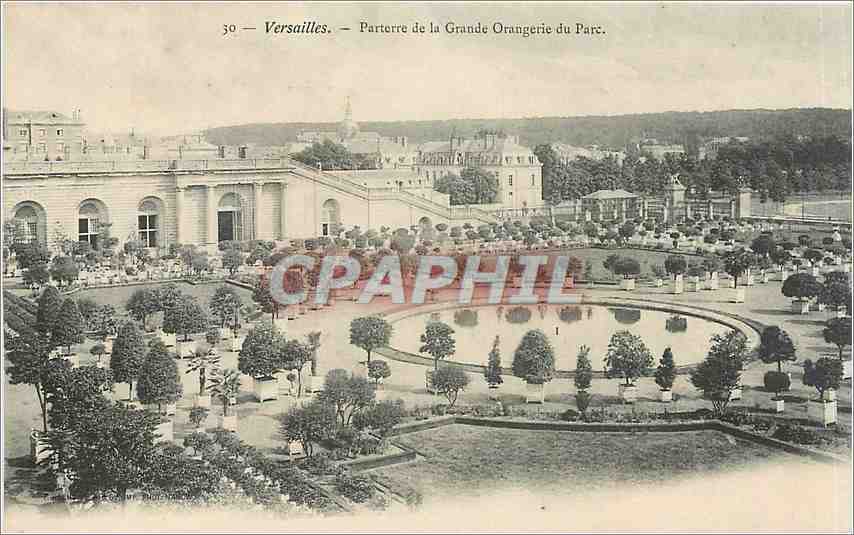 CPA Versailles parterre de la grande Orangerie du parc 