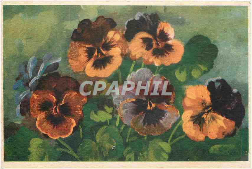 CPA Fleurs