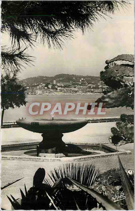 CPM La Cote d'Azur Cannes le Suquet vu du parc Albert 1er 