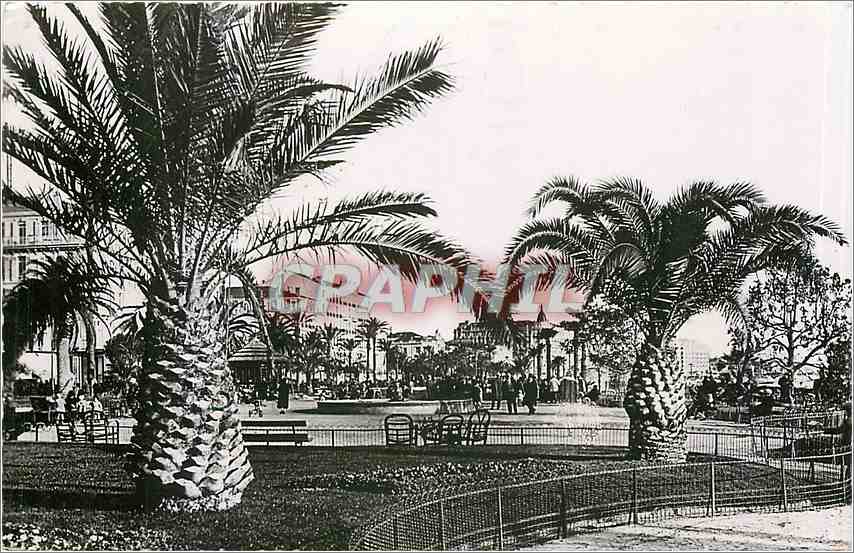 CPM Cannes les nouveaux Jardins 
