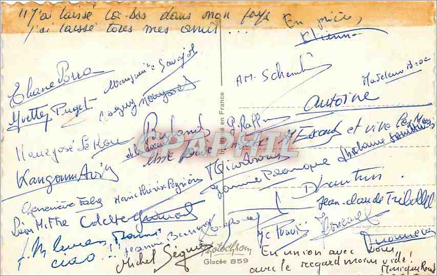 CPM C'est gai une reunion de famille Chiens — Rückseite