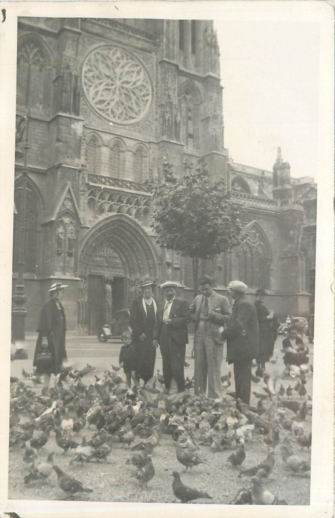 CARTE PHOTO Paris Notre Dame Pigeons