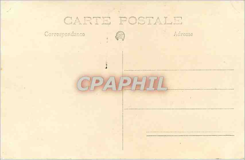 CARTE PHOTO Paris Notre Dame Pigeons — Verso