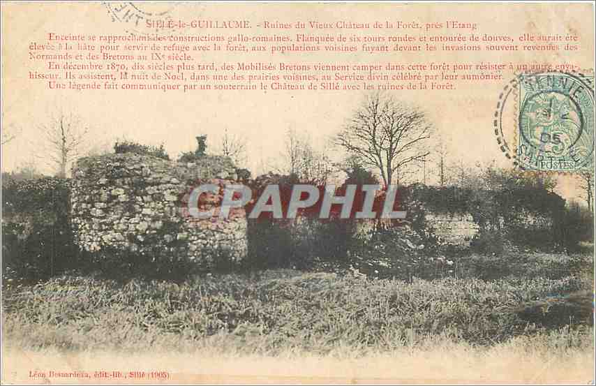CPA Sille le Guillaume Ruines de Vieux Chateau de la Foret pres l'Etang 