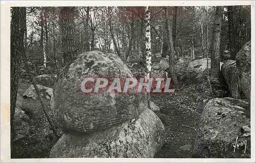 Fontainebleau (S.-et-M.) — La forêt - Apremont - Le mousseron — Les Éditions d'Art