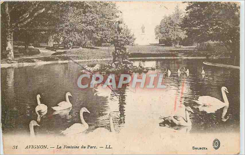 CPA Avignon La Fontaine du Parc Cygnes