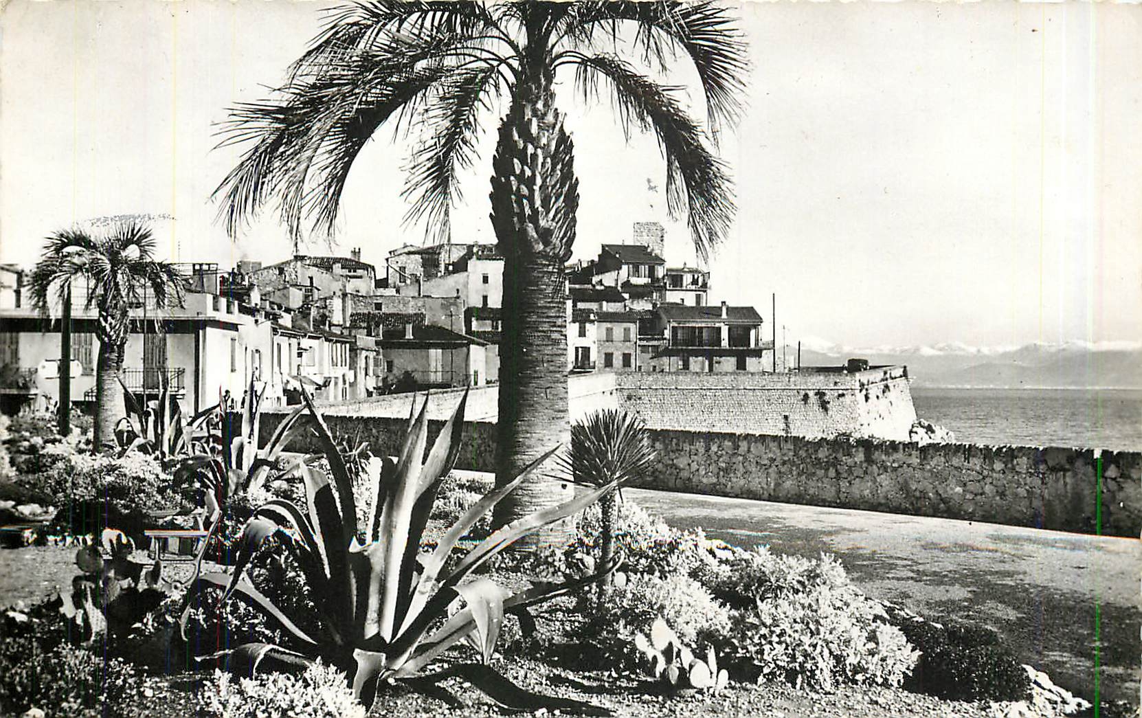 CPM Antibes Les Remparts construits par Vauban 