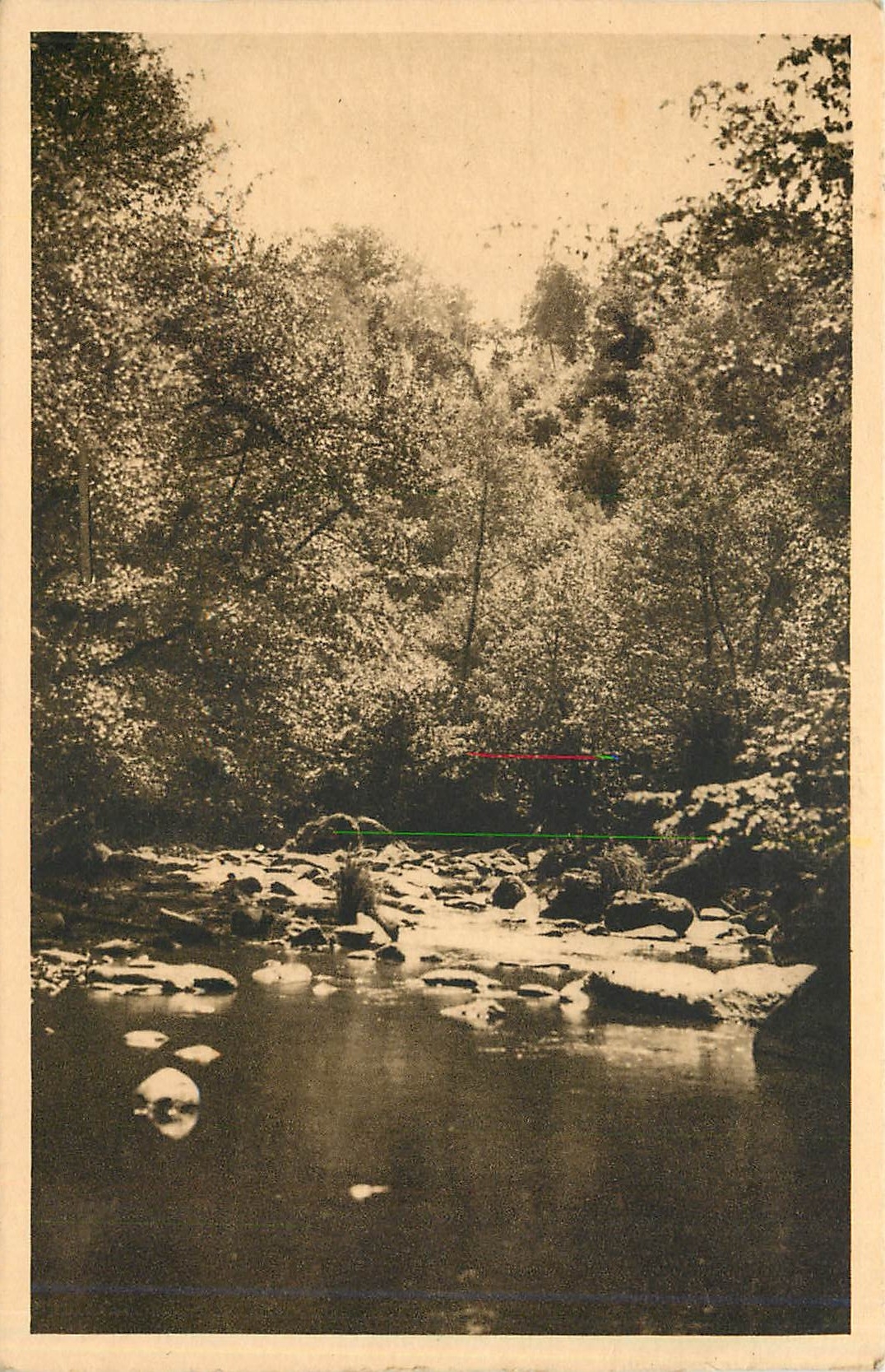 CPA Avallon Vallee du Cousin Moulin Cadoux Le Chene de la Peur 