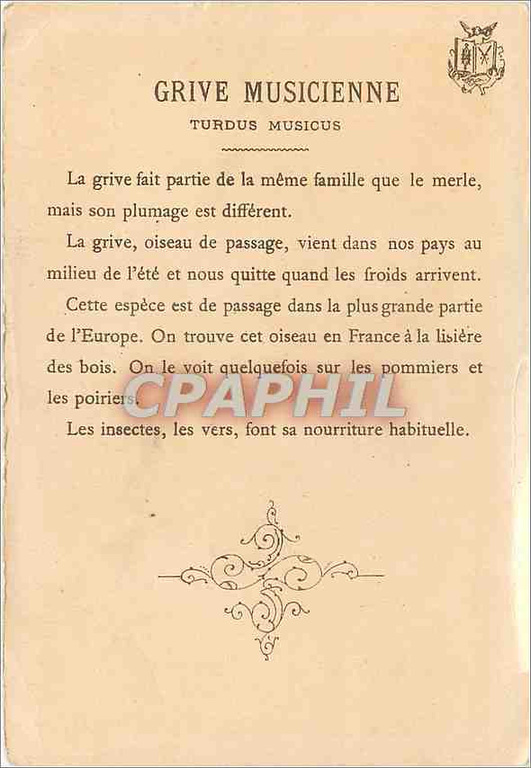CPA Grive Musicienne Turdus musicus  — Back